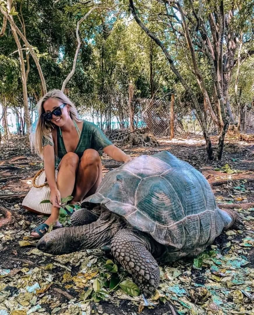 Stone town & Prison island