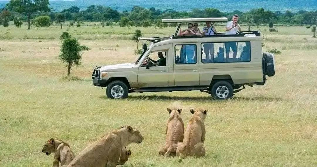 One day Safari Mikumi National park